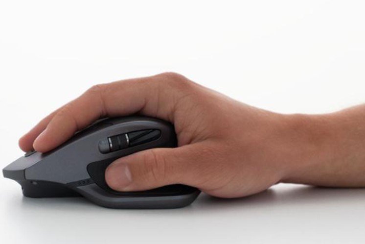best palm grip mouse